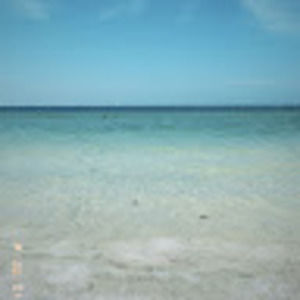 Meet your Posher, Peyton